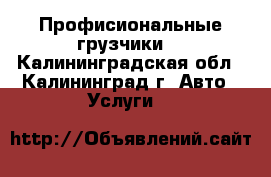 Профисиональные грузчики. - Калининградская обл., Калининград г. Авто » Услуги   